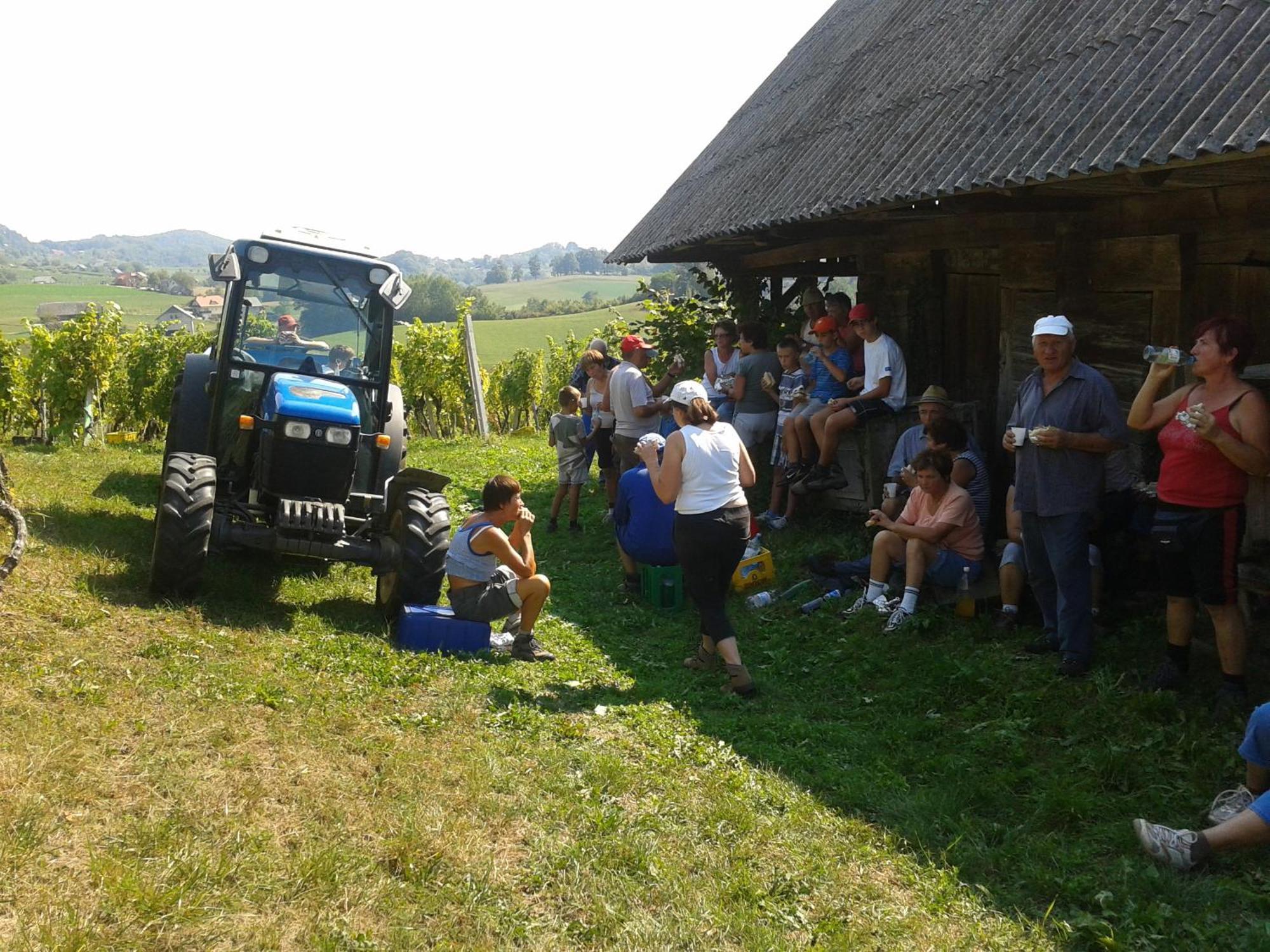 Vila Grobelnik Tourist Farm Sevnica Exteriér fotografie
